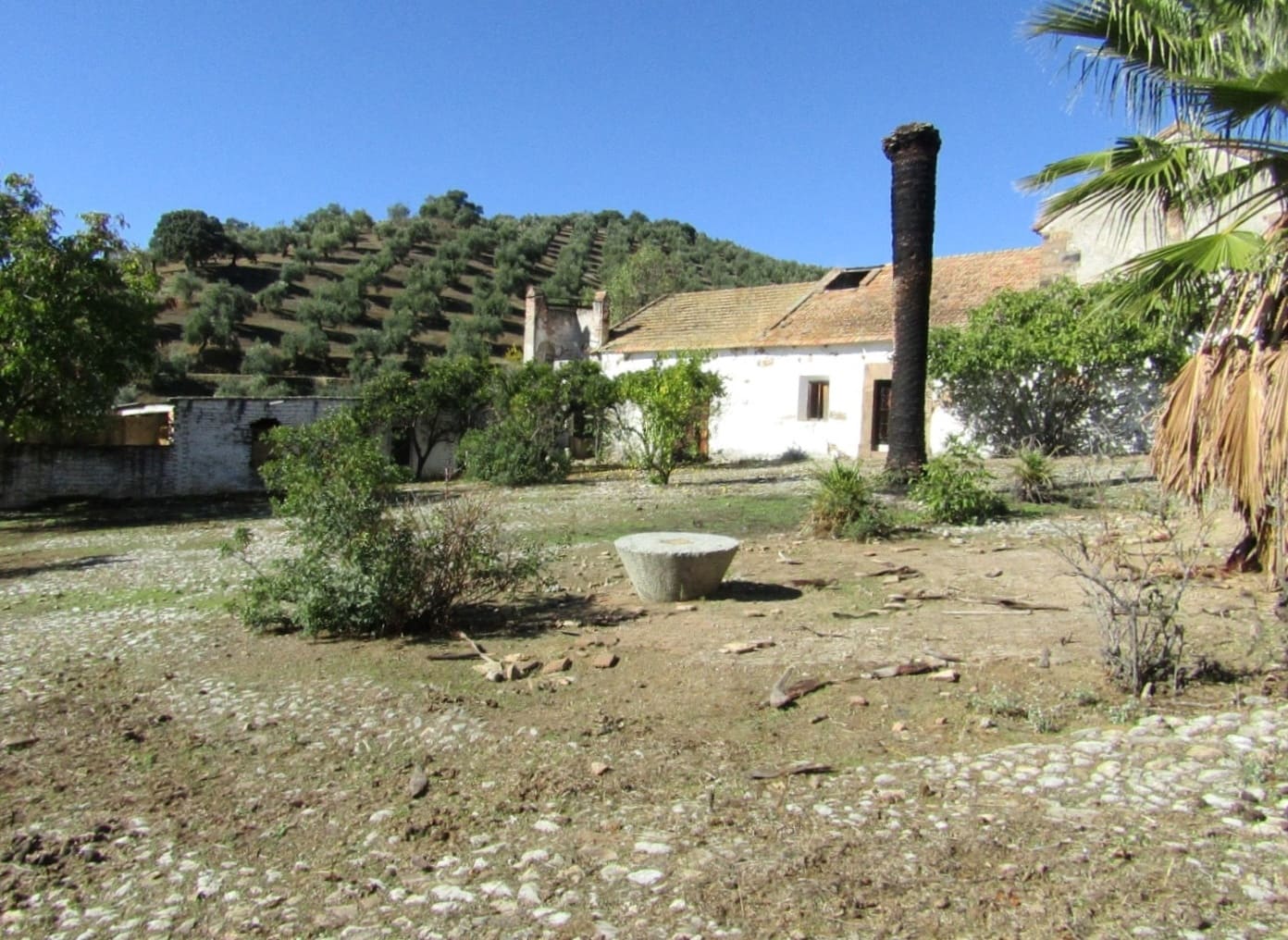 6 soveværelse Finca/Landehus til salg i Adamuz - € 250.000 (Ref: 9854712)