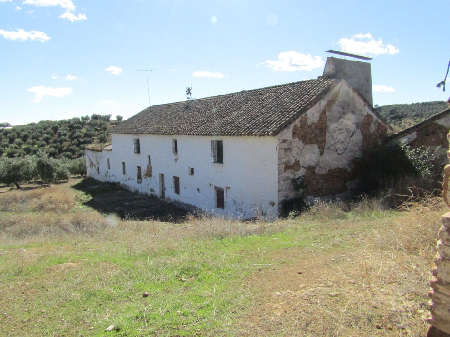 6 soveværelse Finca/Landehus til salg i Adamuz - € 250.000 (Ref: 9854712)