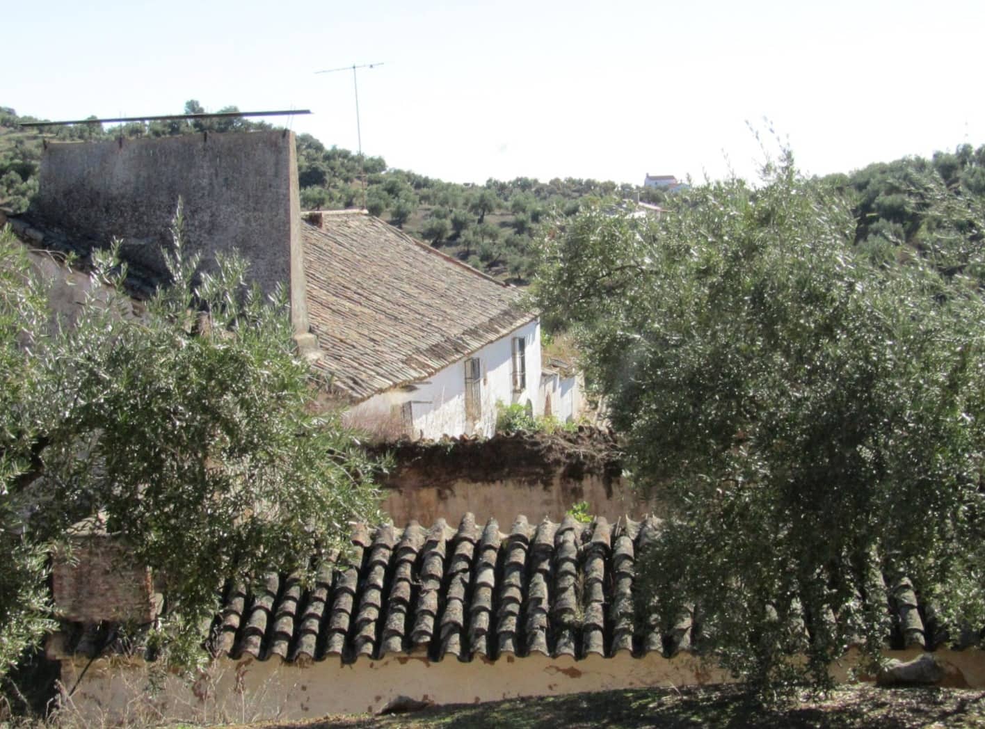 6 soveværelse Finca/Landehus til salg i Adamuz - € 250.000 (Ref: 9854712)