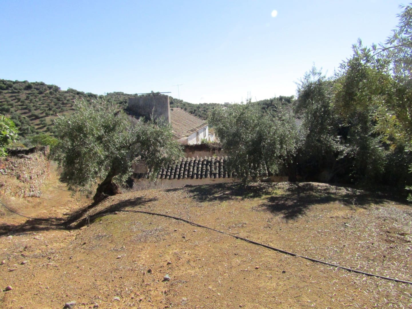 6 soveværelse Finca/Landehus til salg i Adamuz - € 250.000 (Ref: 9854712)