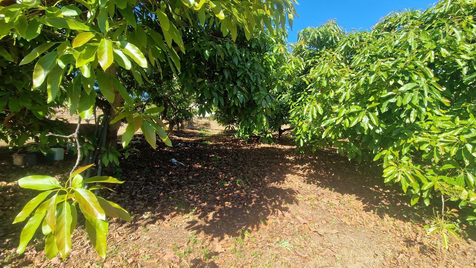 3 sovrum Finca/Hus på landet till salu i Benamocarra med garage - 265 000 € (Ref: 9867950)