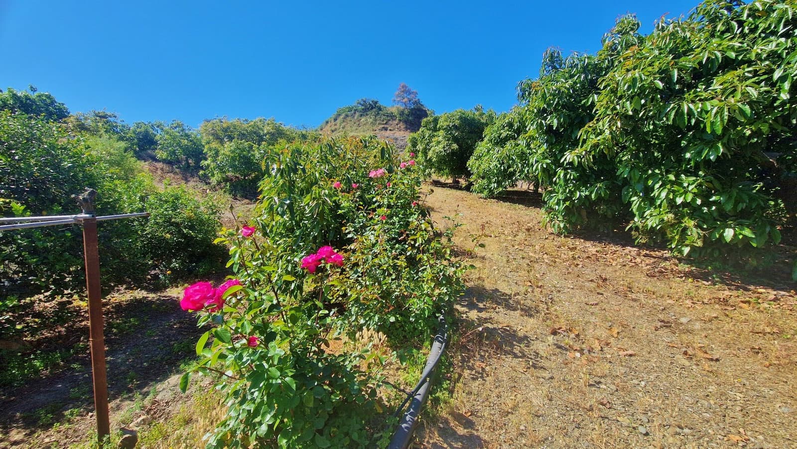 3 sovrum Finca/Hus på landet till salu i Benamocarra med garage - 265 000 € (Ref: 9867950)