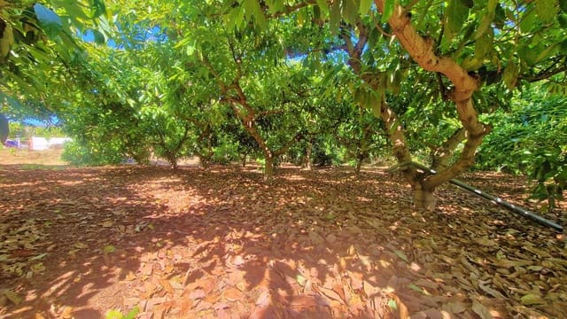 3 soveværelse Finca/Landehus til salg i Benamocarra med garage - € 265.000 (Ref: 9867950)