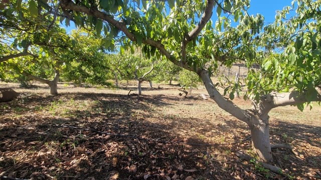 3 soveværelse Finca/Landehus til salg i Benamocarra med garage - € 265.000 (Ref: 9867950)
