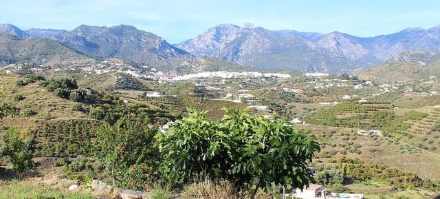 3 sovrum Finca/Hus på landet till salu i Frigiliana med garage - 365 000 € (Ref: 9898426)