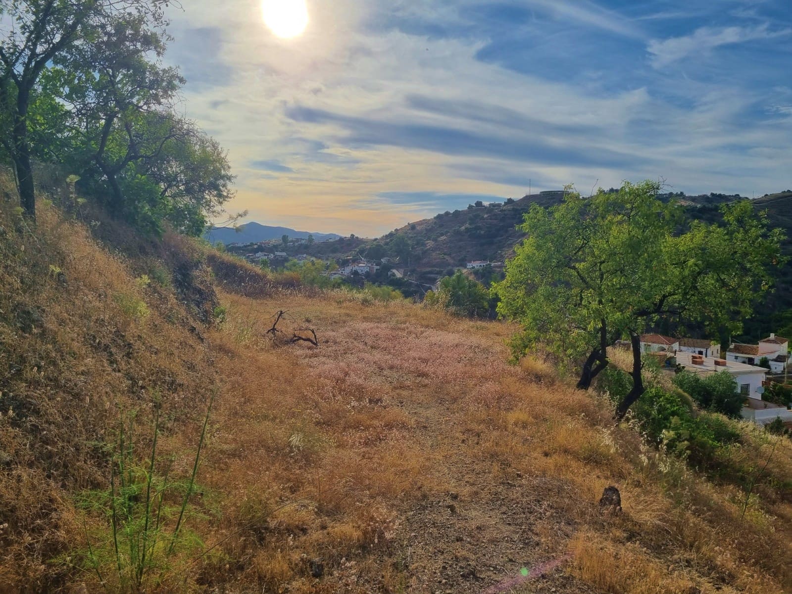 Finca/Casa Rural de 5 habitaciones en Canillas de Aceituno en venta con piscina - 239.000 € (Ref: 9937404)