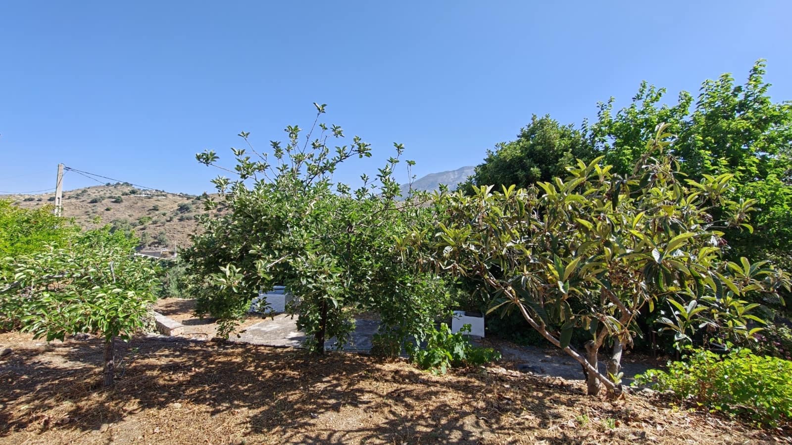 4 soverom Finca/Herregård til salgs i Canillas de Aceituno - € 320 000 (Ref: 9937405)