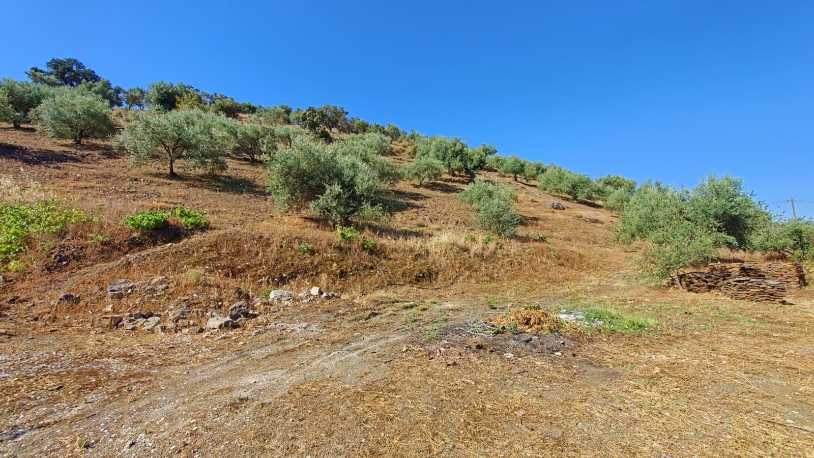 4 soverom Finca/Herregård til salgs i Canillas de Aceituno - € 320 000 (Ref: 9937405)