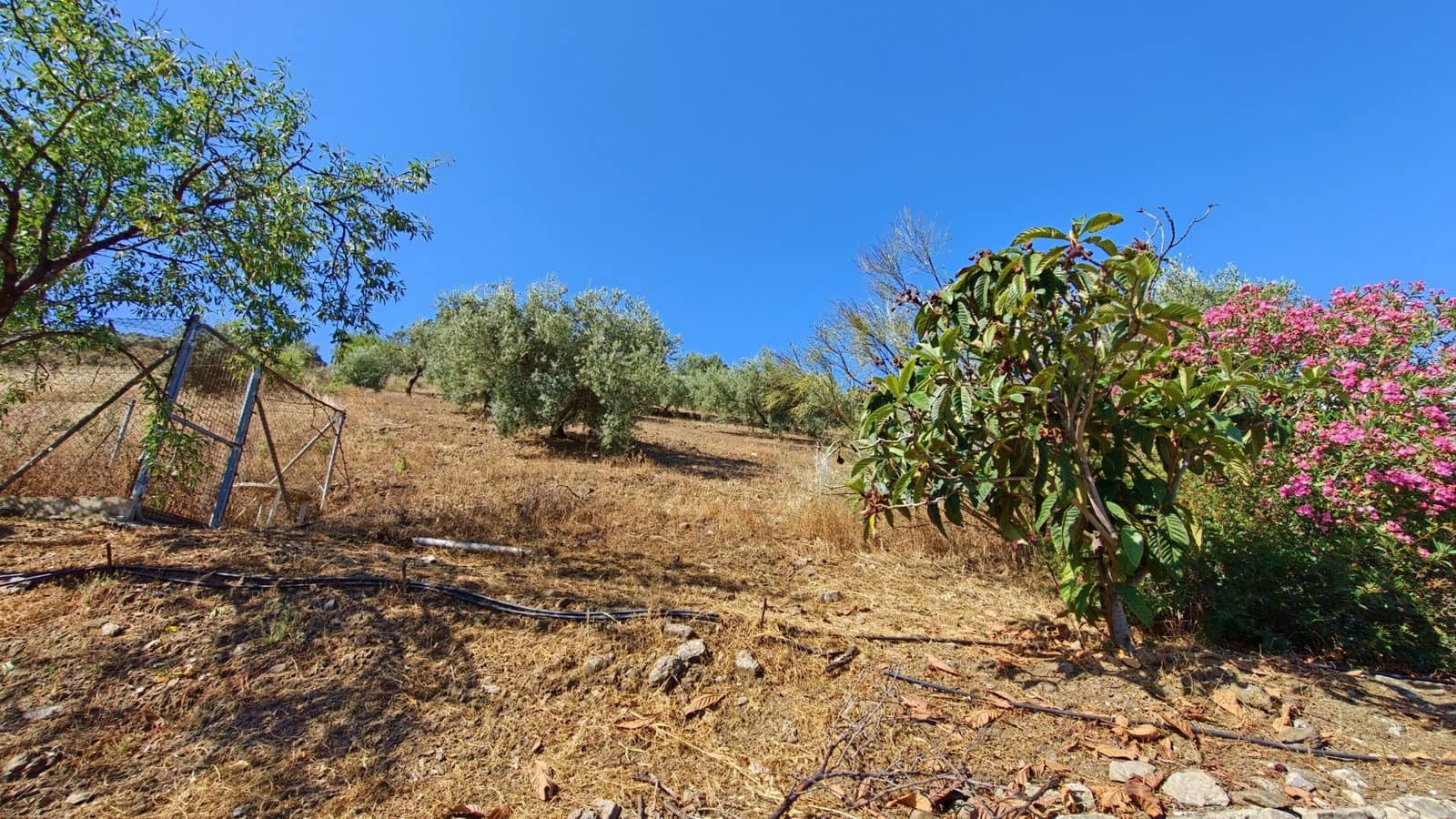 4 soveværelse Finca/Landehus til salg i Canillas de Aceituno med garage - € 339.000 (Ref: 9937405)