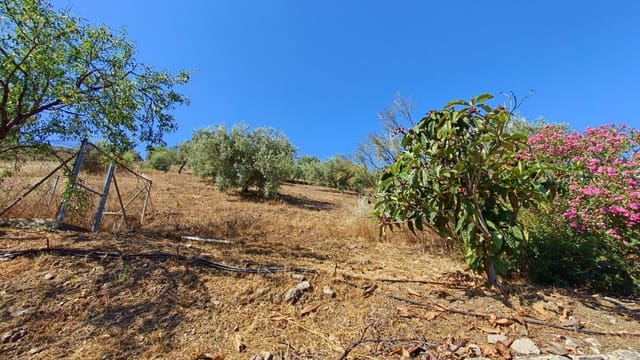 4 soverom Finca/Herregård til salgs i Canillas de Aceituno - € 320 000 (Ref: 9937405)