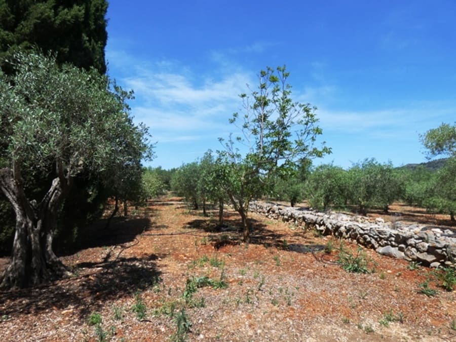 8 bedroom Villa for sale in Pedreguer with pool garage - € 1,300,000 (Ref: 1860956)