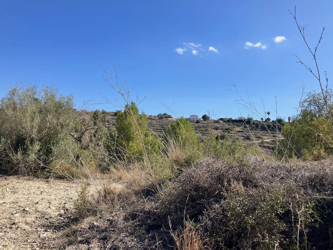 Byggetomt til salgs i Benissa - € 199 000 (Ref: 2447068)