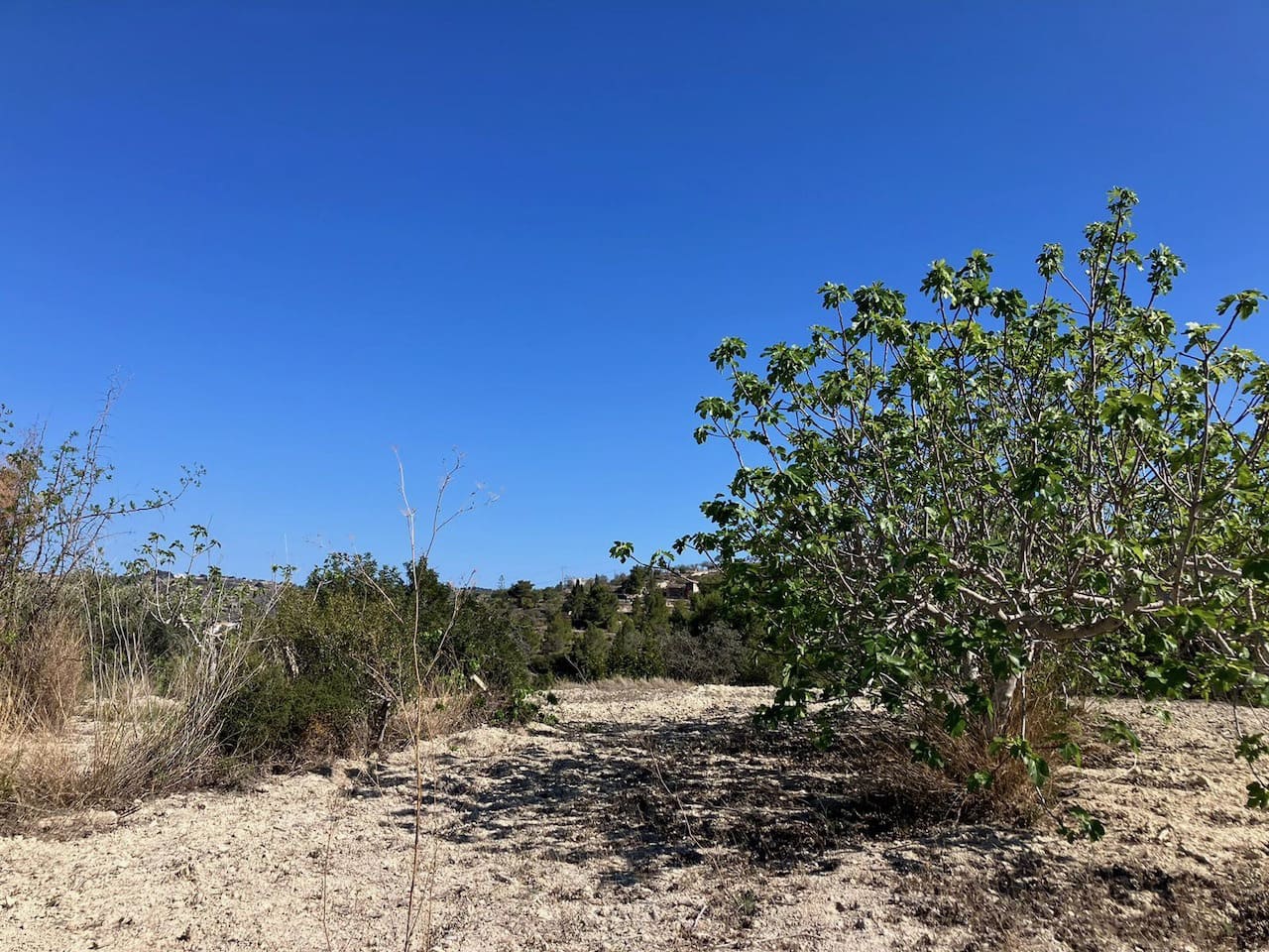 Byggetomt til salgs i Benissa - € 199 000 (Ref: 2447068)