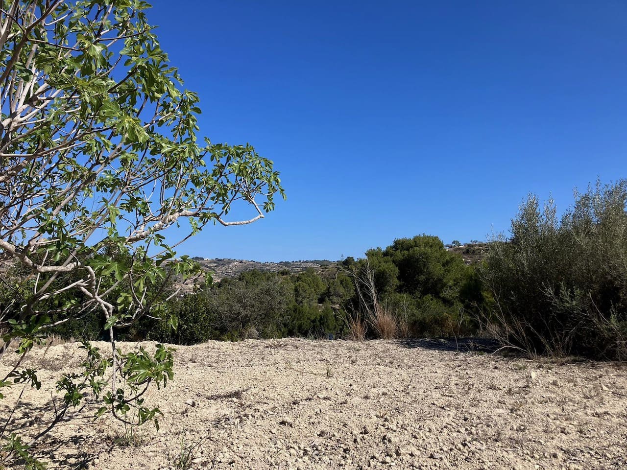 Byggetomt til salgs i Benissa - € 199 000 (Ref: 2447068)