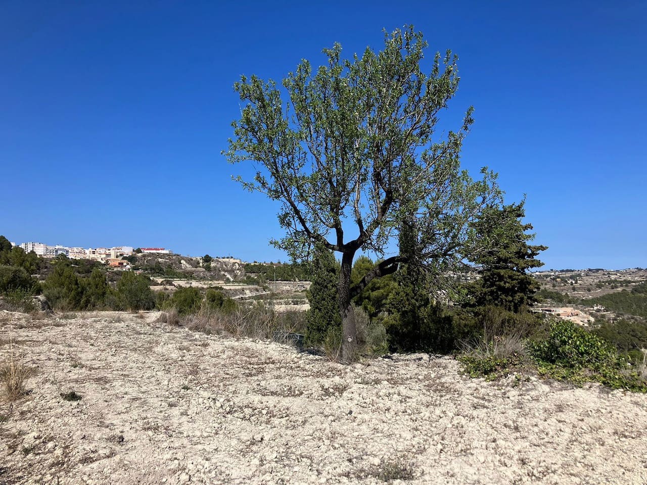 Byggetomt til salgs i Benissa - € 199 000 (Ref: 2447068)