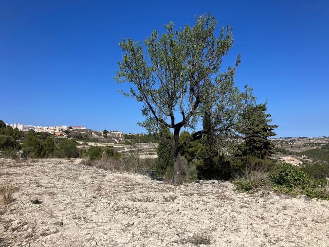 Byggetomt til salgs i Benissa - € 199 000 (Ref: 2447068)