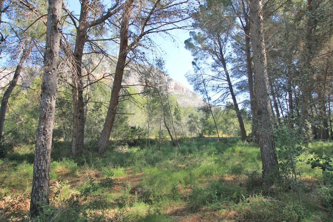 Building Plot for sale in Javea / Xabia - € 414,000 (Ref: 5406342)