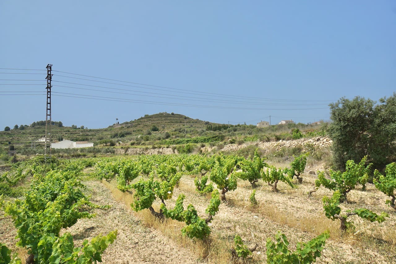 Działka budowlana na sprzedaż w Benitachell / Benitatxell - 264 000 € (Ref: 5406352)