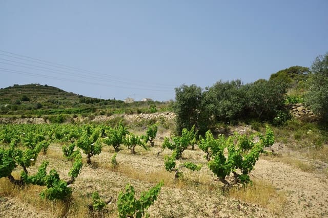 Area Edificabile in vendita in Benitachell / Benitatxell - 264.000 € (Rif: 5406352)