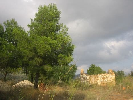 Tontti myytävänä paikassa Benissa - 210 000 € (Ref: 5563404)