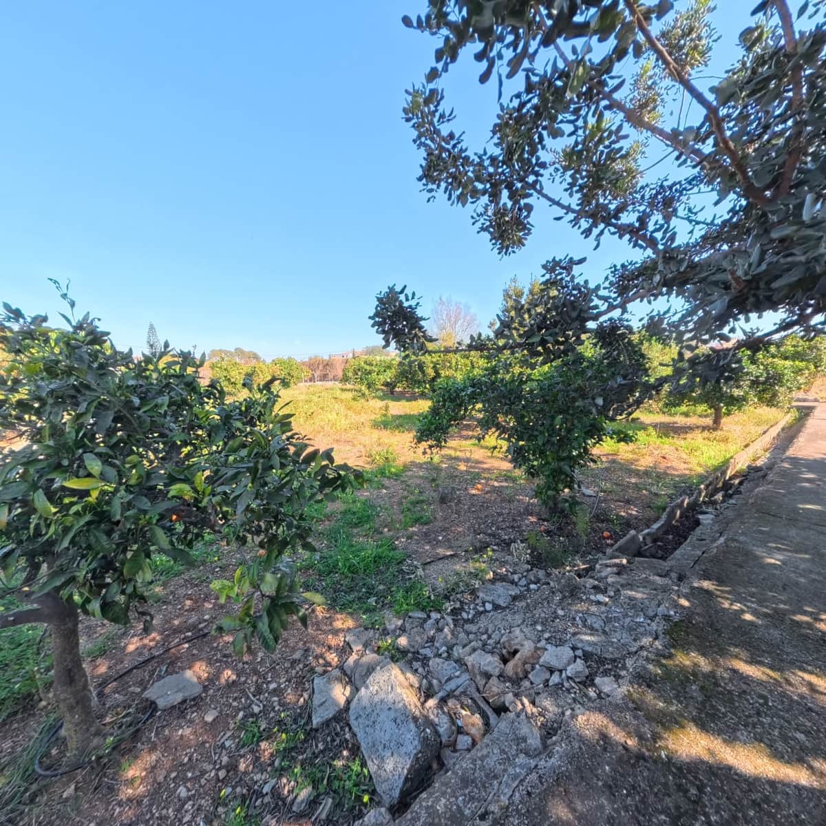 2 makuuhuone Maalaistalo myytävänä paikassa La Xara - 275 000 € (Ref: 5563491)