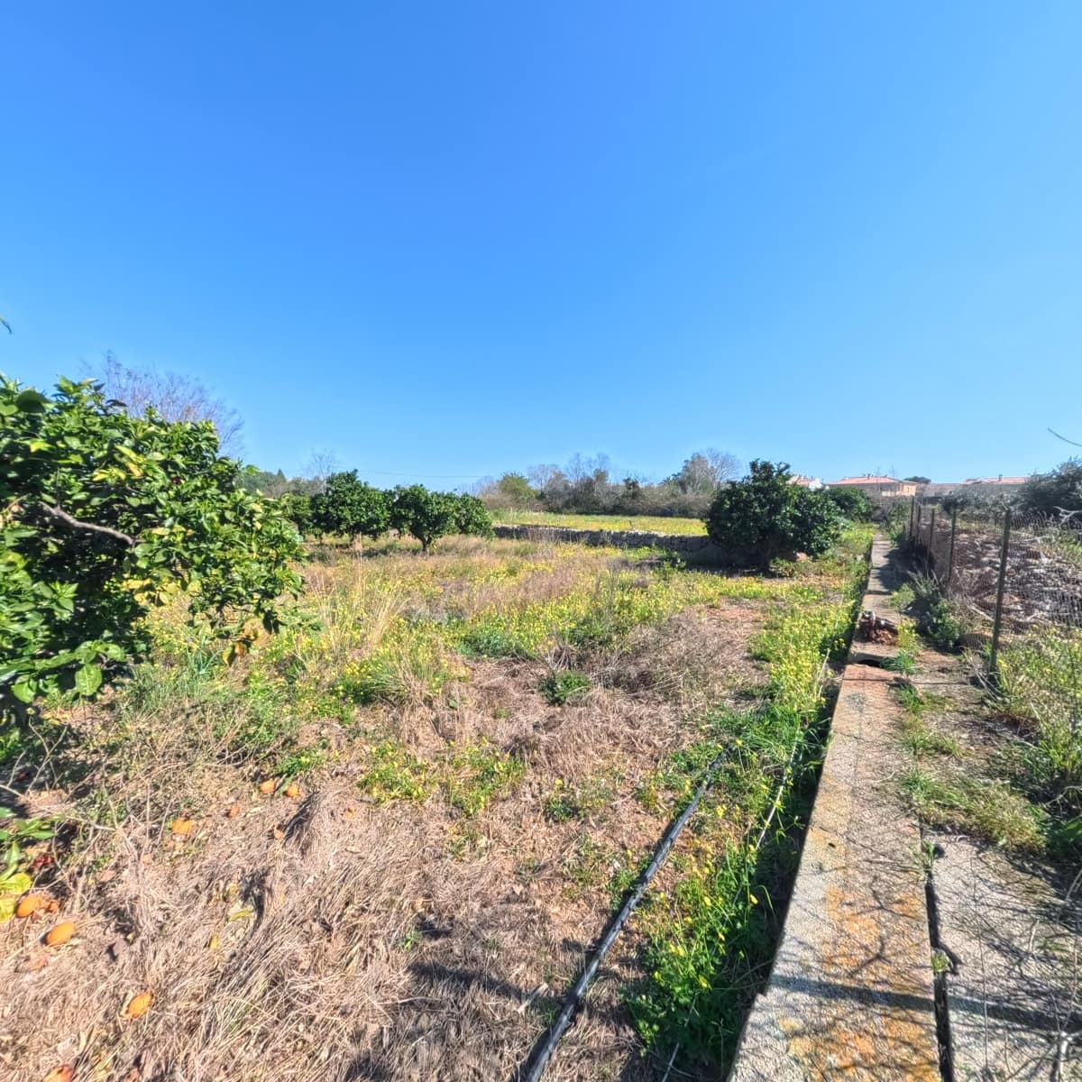 2 makuuhuone Maalaistalo myytävänä paikassa La Xara - 275 000 € (Ref: 5563491)