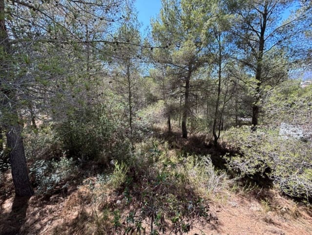 Terrain à Bâtir à vendre à Javea / Xàbia - 215 000 € (Ref: 5563703)