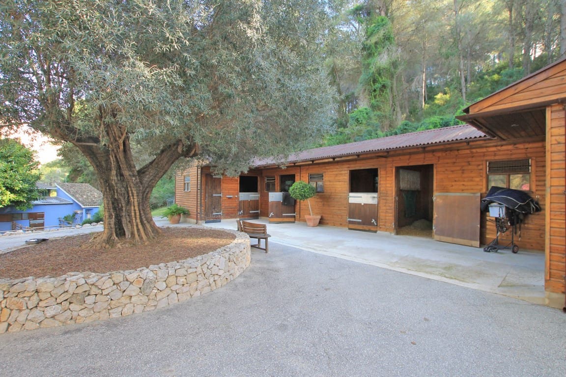 6 bedroom Villa for sale in Denia with pool - € 2,495,000 (Ref: 8260427)