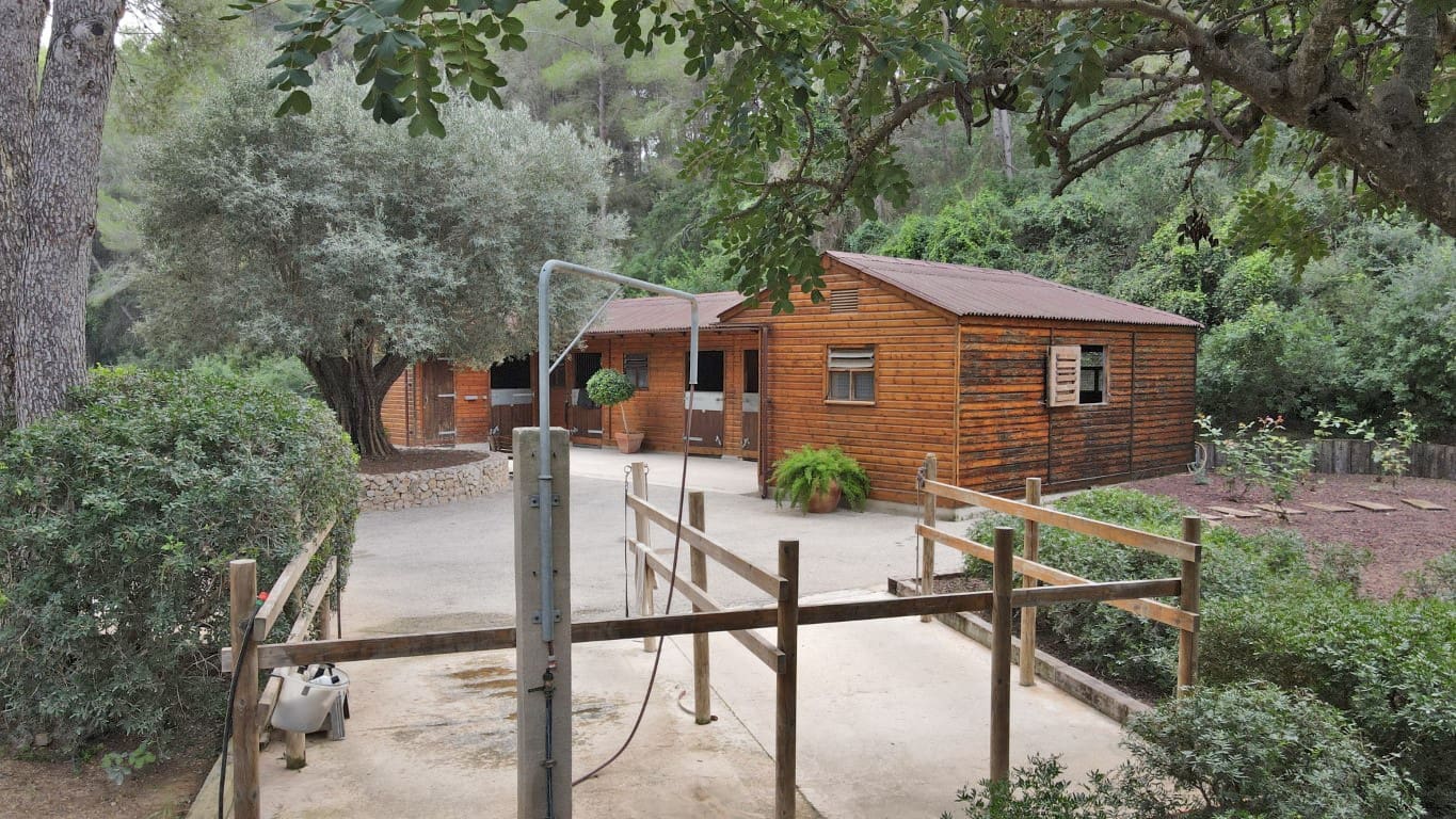 6 bedroom Villa for sale in Denia with pool - € 2,495,000 (Ref: 8260427)