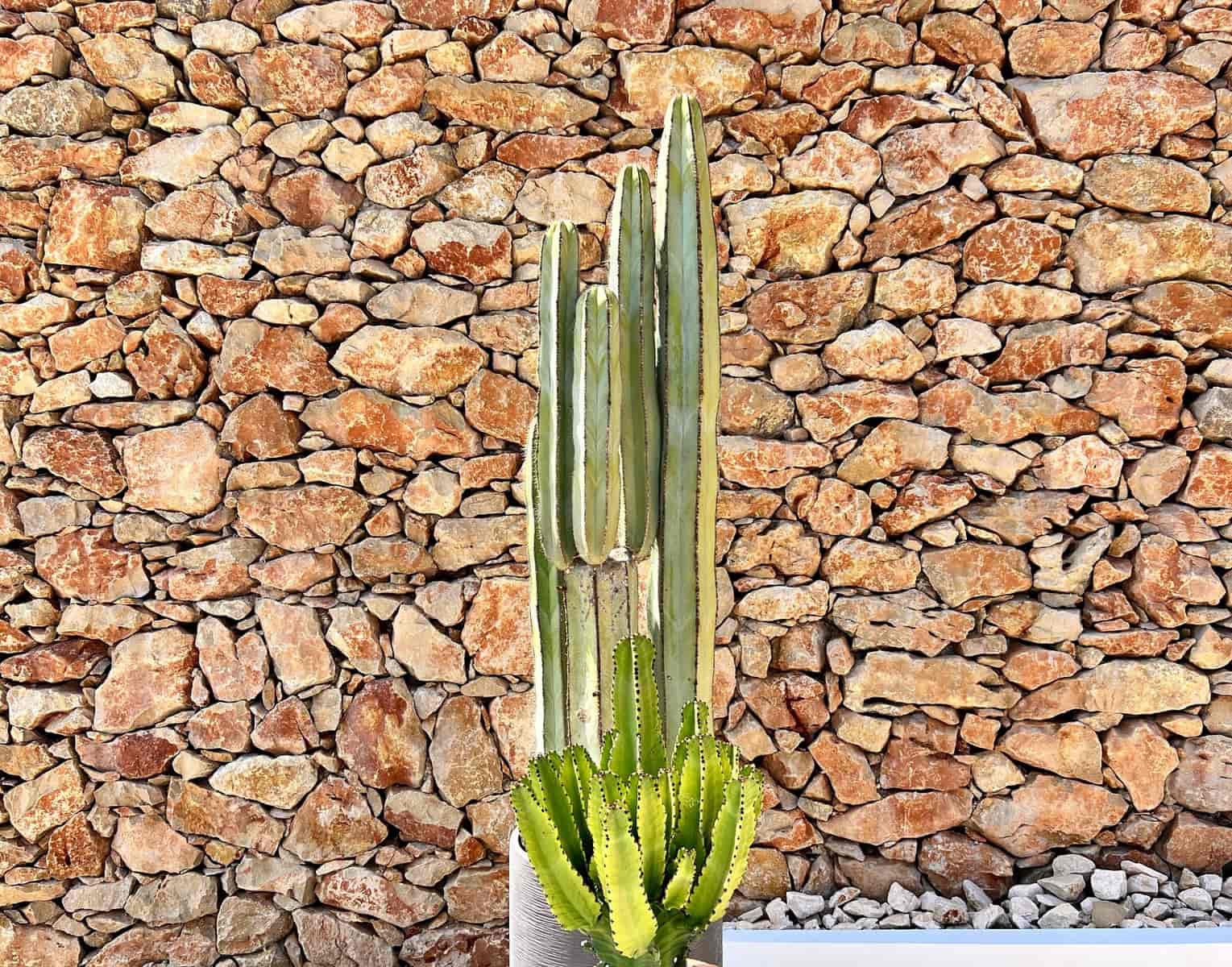 3 soveværelse Villa til salg i Ambolo med swimmingpool garage - € 4.200.000 (Ref: 8270719)