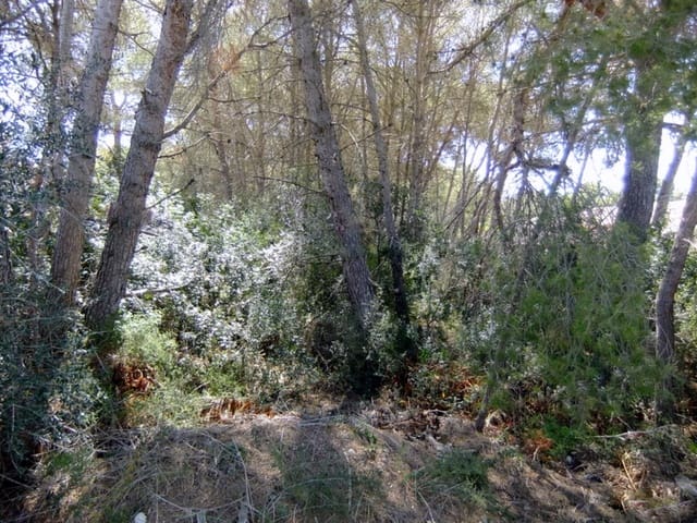 Terreno para Construção para venda em Javea / Xàbia - 192 000 € (Ref: 8270735)