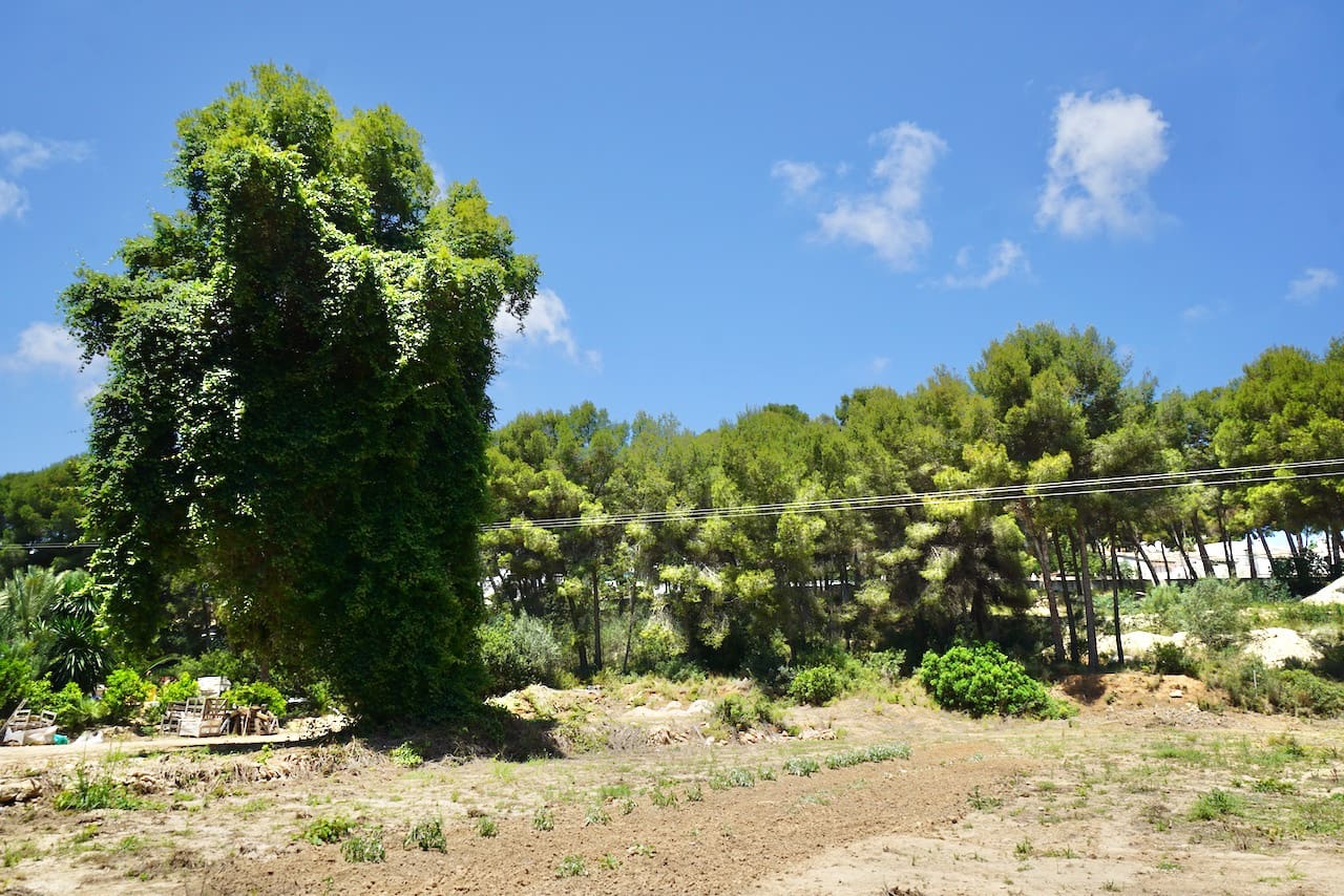 Byggegrund til salg i Moraira - € 480.000 (Ref: 8271673)