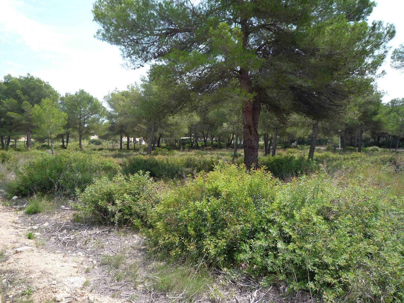 Building Plot for sale in Javea / Xabia - € 295,000 (Ref: 8271690)