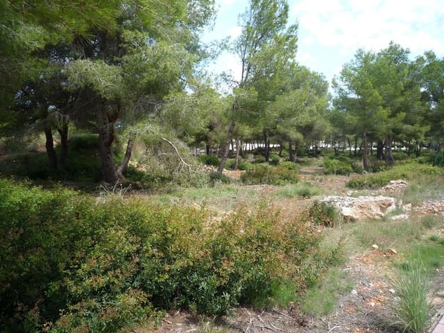 Solar/Parcela en Javea / Xàbia en venta - 295.000 € (Ref: 8271690)