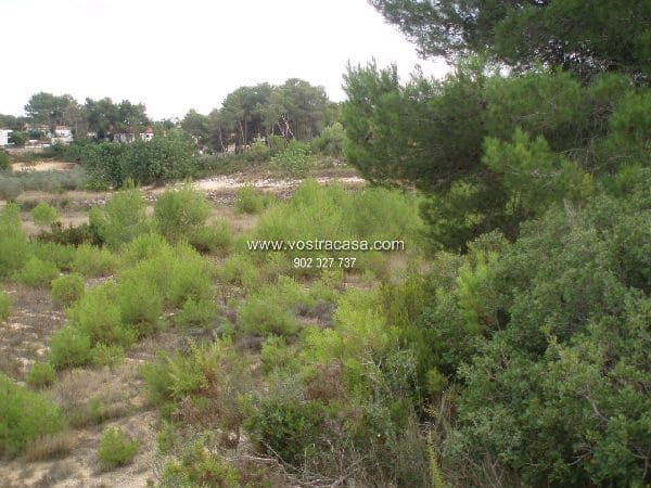 Bauplatz zu verkaufen in Godelleta - 150.000 € (Ref: 8431414)