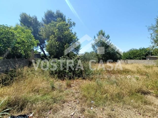Undeveloped Land for sale in Godelleta - € 38,000 (Ref: 8431432)