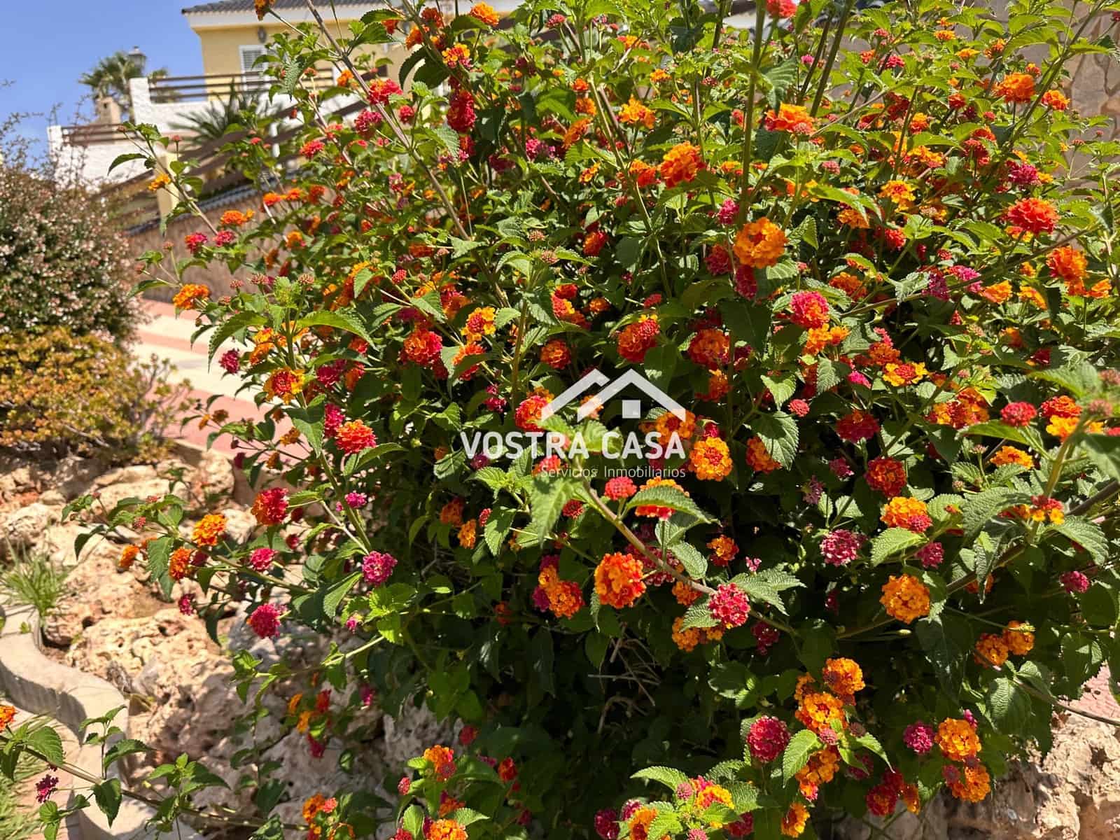 5 soverom Villa til salgs i Turis med svømmebasseng garasje - € 450 000 (Ref: 8431561)