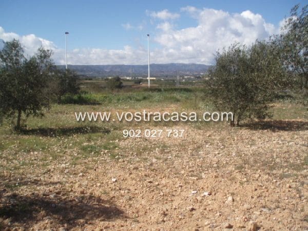 Działka budowlana na sprzedaż w Cheste - 300 000 € (Ref: 8431596)