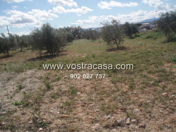 Building Plot for sale in Cheste - € 300,000 (Ref: 8431596)
