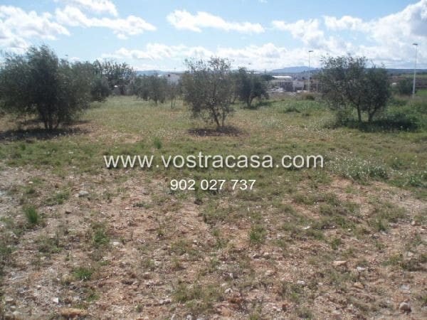 Building Plot for sale in Cheste - € 300,000 (Ref: 8431596)