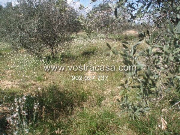 Building Plot for sale in Cheste - € 300,000 (Ref: 8431596)