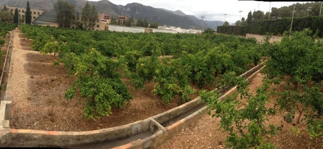 Grond te koop in Tavernes de la Valldigna - € 320.000 (Ref: 7411892)