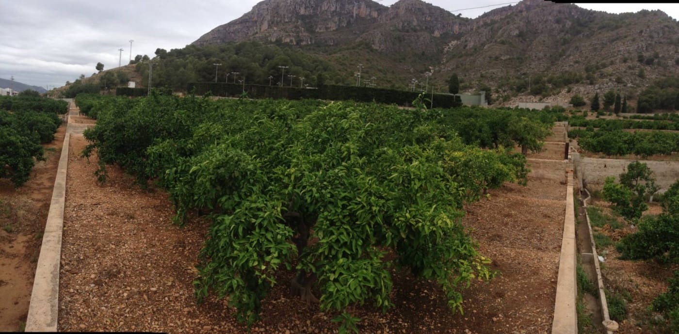 Grunde uden byggetilladelser til salg i Tavernes de la Valldigna - € 320.000 (Ref: 7411892)