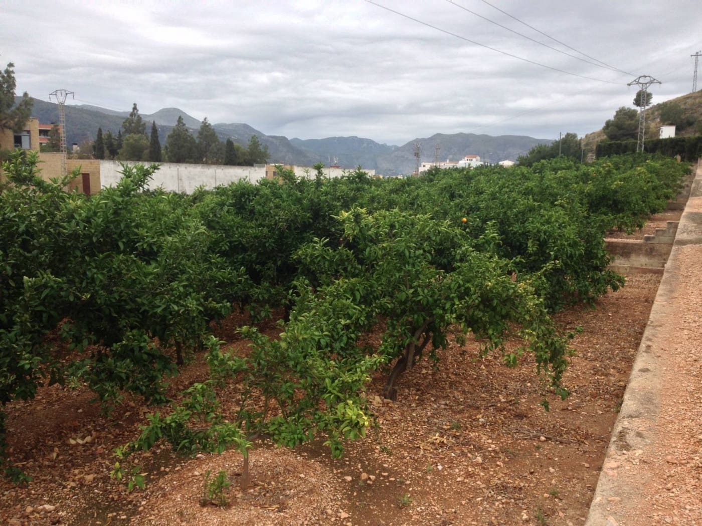 Grunde uden byggetilladelser til salg i Tavernes de la Valldigna - € 320.000 (Ref: 7411892)