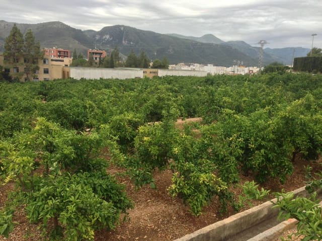 Grond te koop in Tavernes de la Valldigna - € 320.000 (Ref: 7411892)