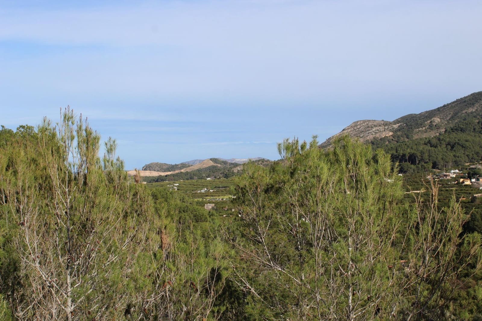 Byggegrund til salg i Alzira - € 150.000 (Ref: 8162469)