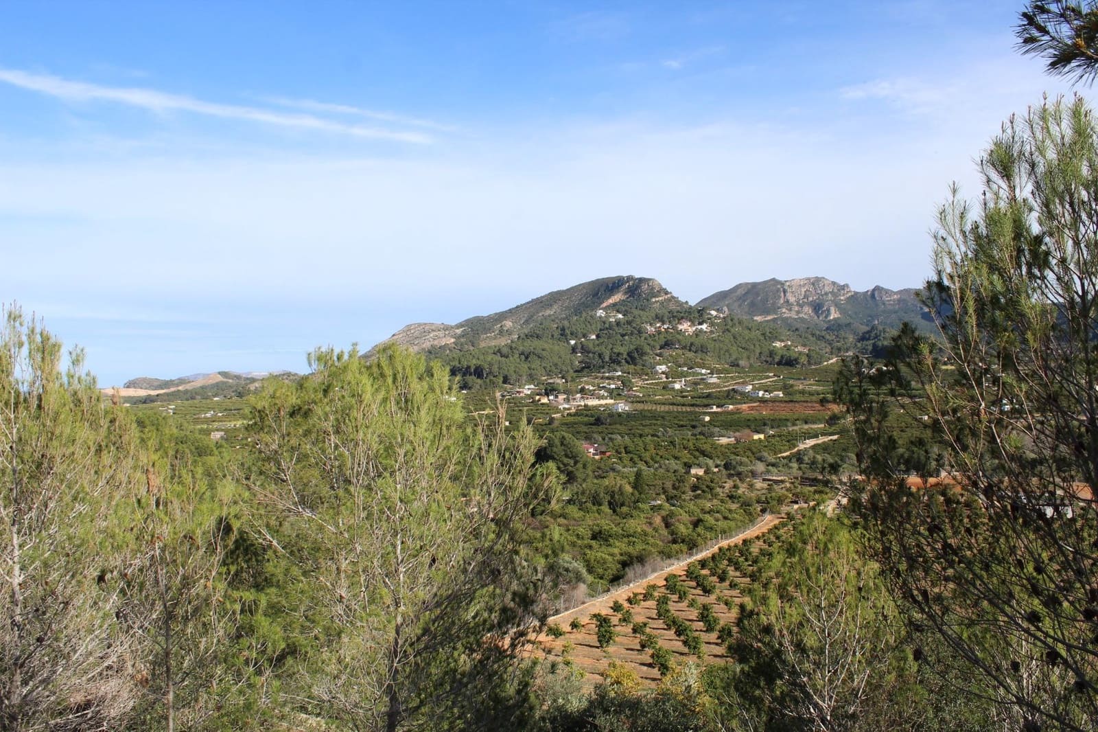 Byggegrund til salg i Alzira - € 150.000 (Ref: 8162469)