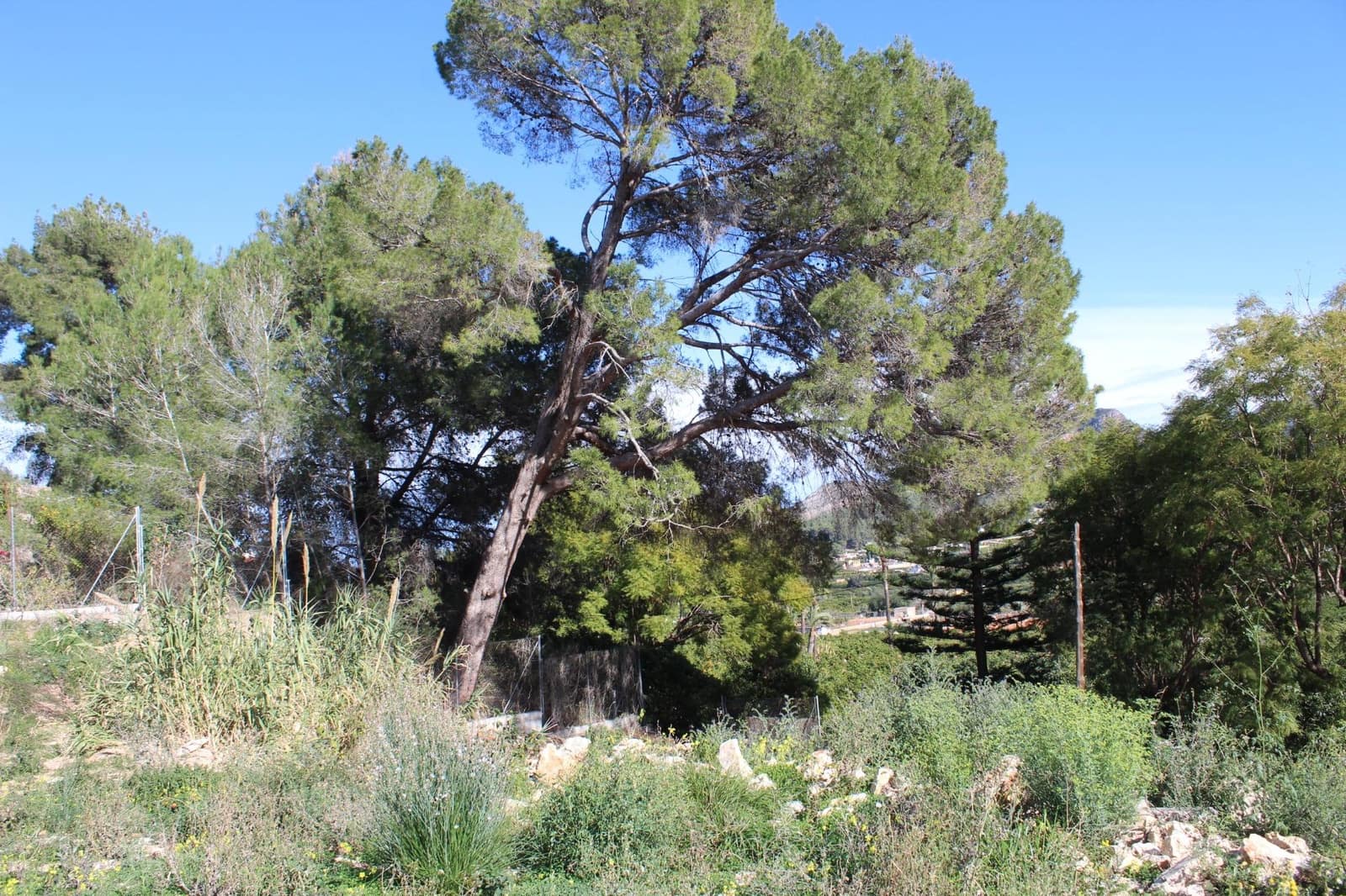 Byggegrund til salg i Alzira - € 150.000 (Ref: 8162469)