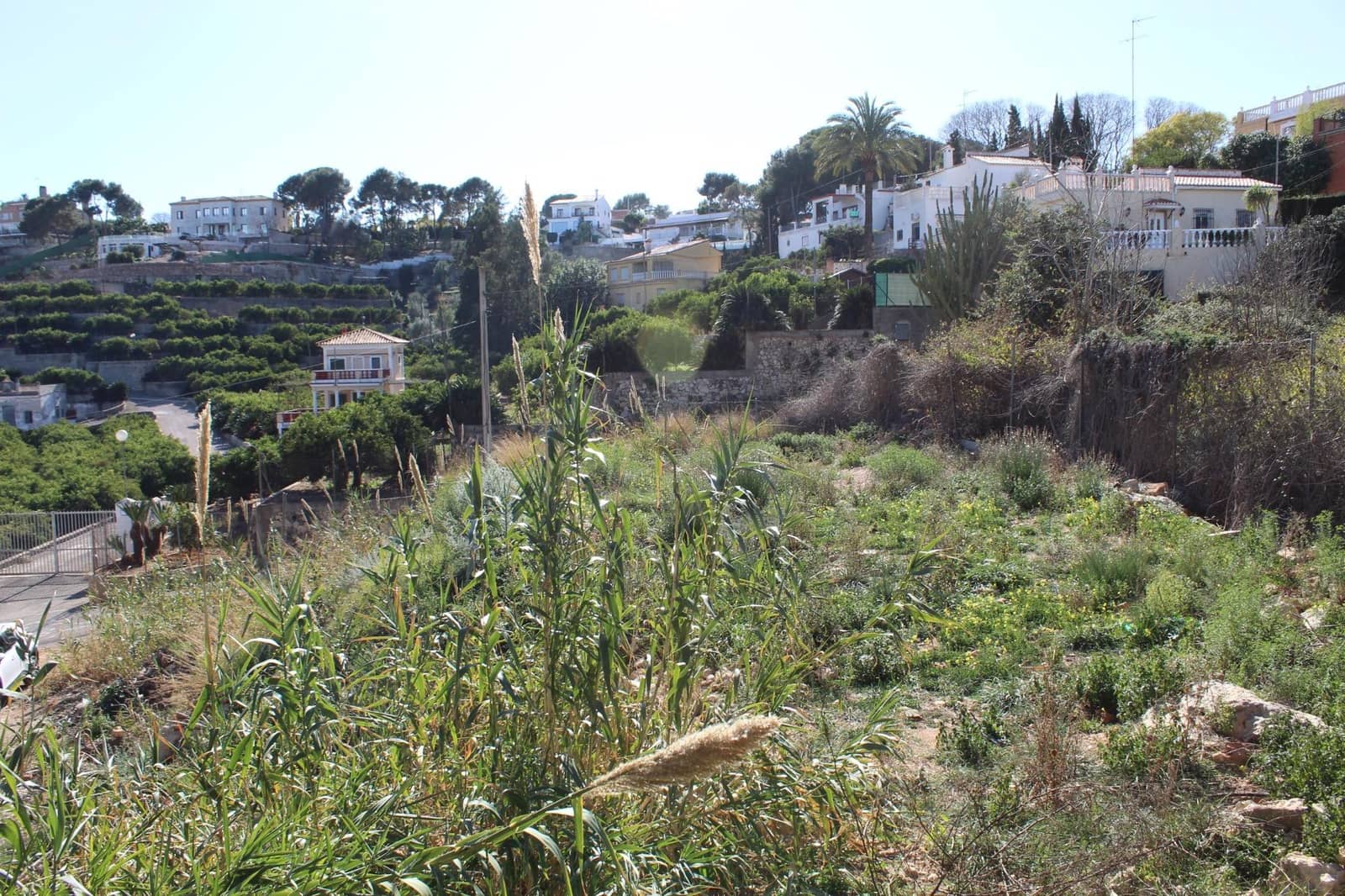 Byggegrund til salg i Alzira - € 150.000 (Ref: 8162469)