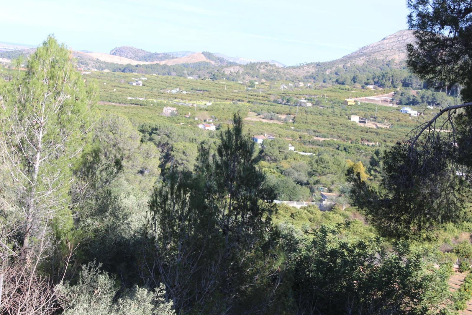 Byggegrund til salg i Alzira - € 150.000 (Ref: 8162469)